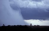 Deluge (rain curtain) with rain foot from wet microburst winds