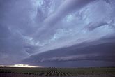 Arcus cloud on gust front of an MCS (Mesoscale Convective System)