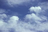 Abstract of soft puffy clouds 