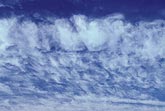 Regular pattern of tufted flakes of Altocumulus Floccus clouds