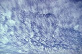 Altocumulus Floccus clouds in a finely textured sheet