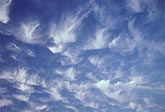 Wispy clouds adrift on a blue canopy