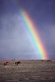 A rainbow brings hope to a desolate landscape