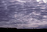 Cloud types, Ac: Altocumulus clouds with sculpted elements