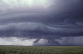 Wall cloud evolution: gust front with Arcus and developing updraft