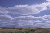 Cloud types, Sc: elongated Stratocumulus cloud patches