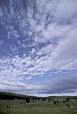 Scattered woolly clouds in a rolling landscape