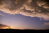 Surreal bulbous Mammatus clouds at sunset in a clearing sky