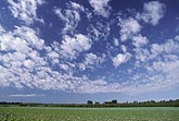A sheet of Altocumulus Floccus clouds