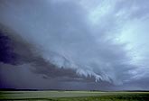 Clouds on gust front rise into shelf cloud boundary