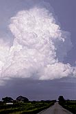 Sun-drenched convective clouds surge skyward