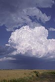 A boiling Cumulus Congestus becoming a thunderhead