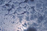 Clotted cloud texture abstract.