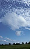 A puffy little cloud \ over farmland