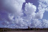 Cloud types, Cu: tall puffs of low-based Cumulus clouds