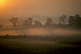 Fog drapes a pastoral scene under a bright sun disk