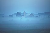Quiet farm draped in fog