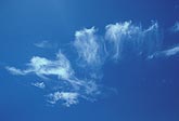 Wispy dancing clouds in an intense blue sky.