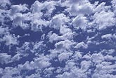 Ragged and irregular Altocumulus Floccus clouds