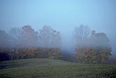 An elevated layer of fog wraps autumn trees in mystery