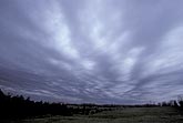 Cloud types, Ac: dense, thickening Altocumulus clouds