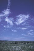 Flight of Carefree Clouds in a dark blue sky