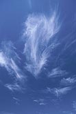 Wispy clouds leap with surprise in a blue sky