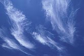 Spritzy cloud wisps dance  in a blue sky