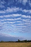 Drifting cloud billows in a harmonious sky.