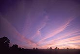 Cloud type, Ci:  Cirrus cloud streaks at sunset
