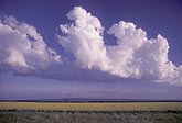 Cloud types, TCu: Cumulus Congestus clouds on an outflow boundary