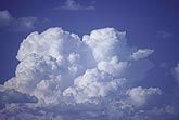 Billowing clouds with cauliflower cloud tops