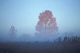 Fog veils an autumn landscape, softening the full fall colors