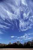 Streaky wisps of cloud in a bright blue sky