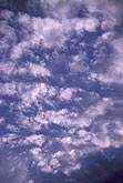 Silver-edged Floccus clouds in a shimmering abstract
