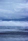 Dreamy bank of fog drifting onshore at oceanside