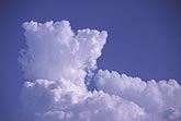 An energetic Cumulus turret seems to burst with surprise