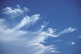 A flight of wispy clouds in a pure blue sky