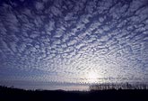 A wafer-thin sheet of Altocumulus clouds with a uniform pattern