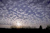 Cloud type, Ac: stippled Altocumulus clouds in late-day sunlight