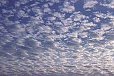 Soft, silvery, puffy clouds drift in crowds