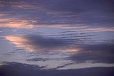 Slender pink and gray fingers of cloud in a meditative cloudscape