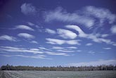 Cloud type, Acl: soft lenticular cloud patches formed by gentle lifting