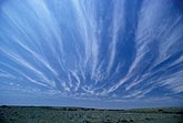 Thin Cirrus cloud bands are mostly parallel but appear to converge 