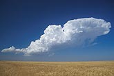 A young but growing cloud boils up in a prairie landscape