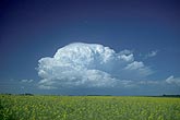 Cloud types, Cb: an organized Cumulonimbus cloud with Pileus cap