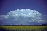 Cloud type, Cb: Cumulonimbus cloud bank with a swath of rain