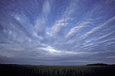 A soft billow pattern in a harmonious fan of clouds