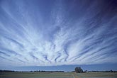 Cloud types, Ci: a sheet of Cirrus clouds in parallel bands